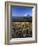 Mt. Adams in distance, Meadow, Goat Rocks Wilderness, Washington, USA-Charles Gurche-Framed Photographic Print