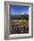 Mt. Adams in distance, Meadow, Goat Rocks Wilderness, Washington, USA-Charles Gurche-Framed Photographic Print