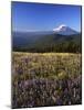 Mt. Adams in distance, Meadow, Goat Rocks Wilderness, Washington, USA-Charles Gurche-Mounted Photographic Print