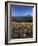 Mt. Adams in distance, Meadow, Goat Rocks Wilderness, Washington, USA-Charles Gurche-Framed Photographic Print