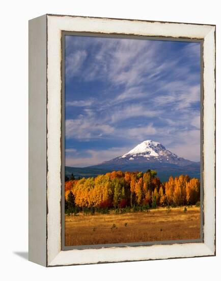 Mt. Adams IV-Ike Leahy-Framed Premier Image Canvas