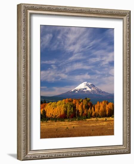 Mt. Adams IV-Ike Leahy-Framed Photographic Print