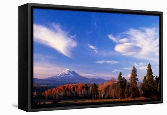 Mt. Adams V-Ike Leahy-Framed Premier Image Canvas