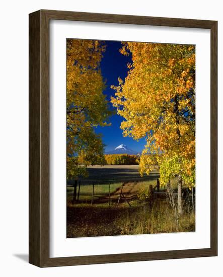 Mt. Adams VI-Ike Leahy-Framed Photographic Print