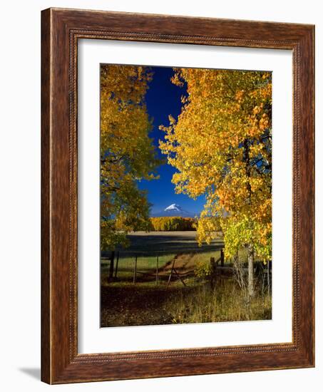 Mt. Adams VI-Ike Leahy-Framed Photographic Print