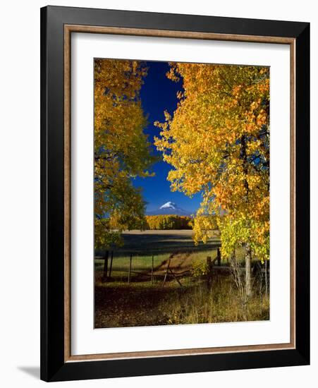 Mt. Adams VI-Ike Leahy-Framed Photographic Print