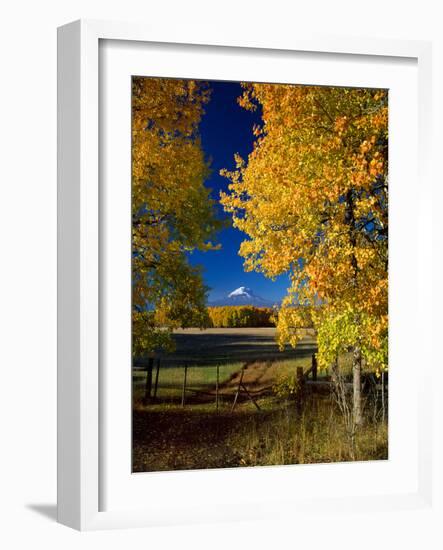 Mt. Adams VI-Ike Leahy-Framed Photographic Print