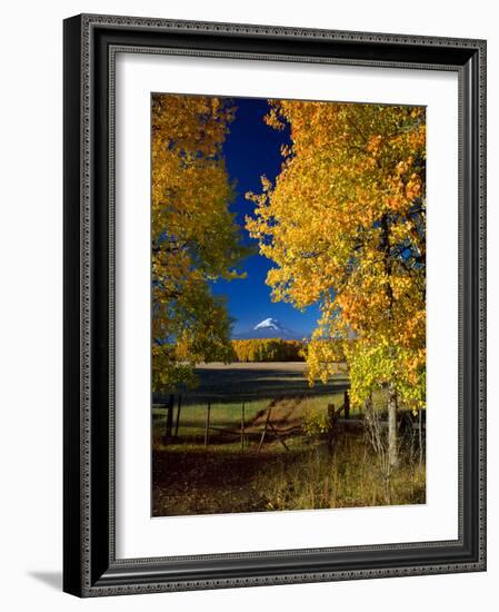 Mt. Adams VI-Ike Leahy-Framed Photographic Print