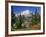 Mt. Baker from Kulshan Ridge at Artist's Point, Heather Meadows Recreation Area, Washington, Usa-Jamie & Judy Wild-Framed Photographic Print