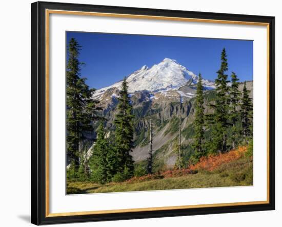 Mt. Baker from Kulshan Ridge at Artist's Point, Heather Meadows Recreation Area, Washington, Usa-Jamie & Judy Wild-Framed Photographic Print