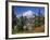 Mt. Baker from Kulshan Ridge at Artist's Point, Heather Meadows Recreation Area, Washington, Usa-Jamie & Judy Wild-Framed Photographic Print