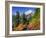 Mt. Baker from Kulshan Ridge at Artist's Point, Heather Meadows Recreation Area, Washington, Usa-Jamie & Judy Wild-Framed Photographic Print