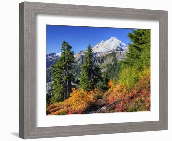 Mt. Baker from Kulshan Ridge at Artist's Point, Heather Meadows Recreation Area, Washington, Usa-Jamie & Judy Wild-Framed Photographic Print
