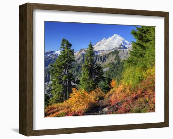 Mt. Baker from Kulshan Ridge at Artist's Point, Heather Meadows Recreation Area, Washington, Usa-Jamie & Judy Wild-Framed Photographic Print