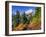 Mt. Baker from Kulshan Ridge at Artist's Point, Heather Meadows Recreation Area, Washington, Usa-Jamie & Judy Wild-Framed Photographic Print