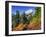 Mt. Baker from Kulshan Ridge at Artist's Point, Heather Meadows Recreation Area, Washington, Usa-Jamie & Judy Wild-Framed Photographic Print