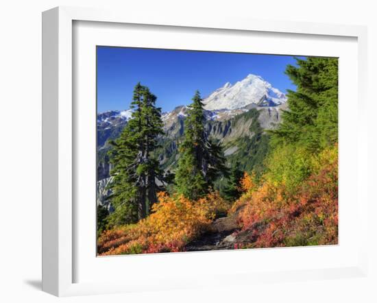 Mt. Baker from Kulshan Ridge at Artist's Point, Heather Meadows Recreation Area, Washington, Usa-Jamie & Judy Wild-Framed Photographic Print