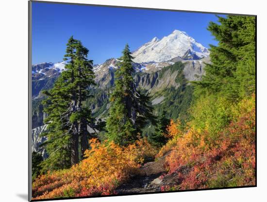 Mt. Baker from Kulshan Ridge at Artist's Point, Heather Meadows Recreation Area, Washington, Usa-Jamie & Judy Wild-Mounted Photographic Print