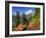 Mt. Baker from Kulshan Ridge at Artist's Point, Heather Meadows Recreation Area, Washington, Usa-Jamie & Judy Wild-Framed Photographic Print