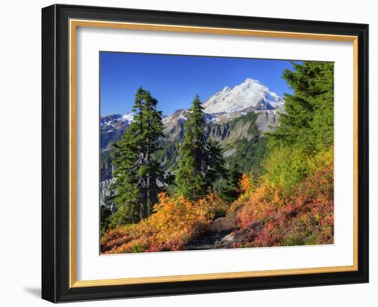 Mt. Baker from Kulshan Ridge at Artist's Point, Heather Meadows Recreation Area, Washington, Usa-Jamie & Judy Wild-Framed Photographic Print