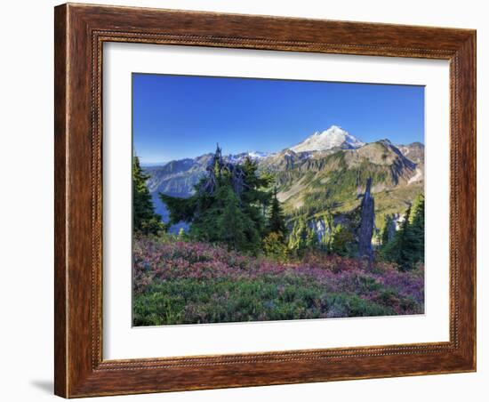 Mt. Baker from Kulshan Ridge at Artist's Point, Heather Meadows Recreation Area, Washington, Usa-Jamie & Judy Wild-Framed Photographic Print