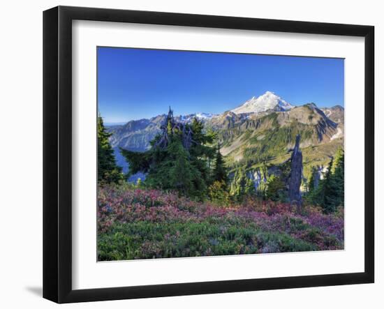 Mt. Baker from Kulshan Ridge at Artist's Point, Heather Meadows Recreation Area, Washington, Usa-Jamie & Judy Wild-Framed Photographic Print