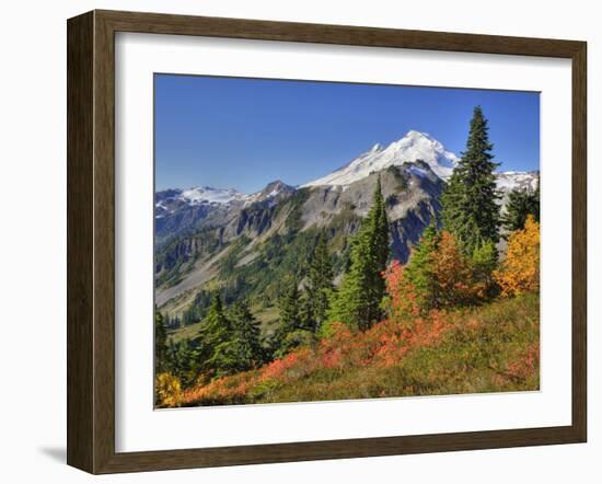 Mt. Baker from Kulshan Ridge at Artist's Point, Heather Meadows Recreation Area, Washington, Usa-Jamie & Judy Wild-Framed Photographic Print