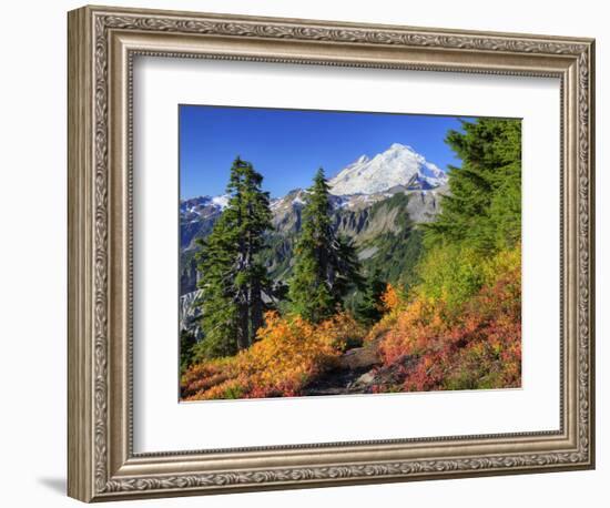 Mt. Baker from Kulshan Ridge at Artist's Point, Heather Meadows Recreation Area, Washington, Usa-Jamie & Judy Wild-Framed Photographic Print