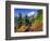 Mt. Baker from Kulshan Ridge at Artist's Point, Heather Meadows Recreation Area, Washington, Usa-Jamie & Judy Wild-Framed Photographic Print