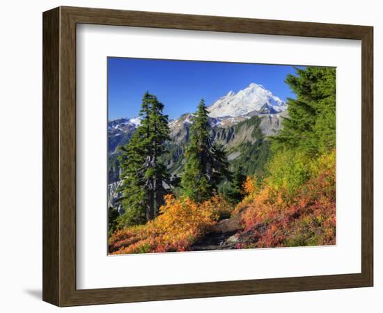 Mt. Baker from Kulshan Ridge at Artist's Point, Heather Meadows Recreation Area, Washington, Usa-Jamie & Judy Wild-Framed Photographic Print