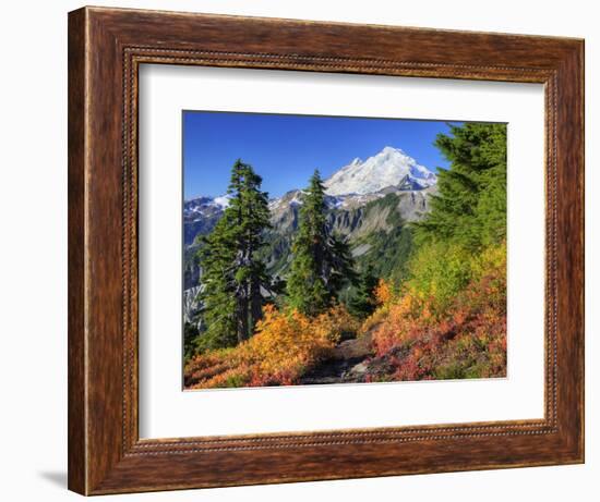 Mt. Baker from Kulshan Ridge at Artist's Point, Heather Meadows Recreation Area, Washington, Usa-Jamie & Judy Wild-Framed Photographic Print