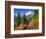 Mt. Baker from Kulshan Ridge at Artist's Point, Heather Meadows Recreation Area, Washington, Usa-Jamie & Judy Wild-Framed Photographic Print