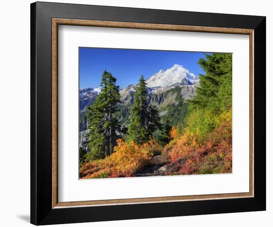 Mt. Baker from Kulshan Ridge at Artist's Point, Heather Meadows Recreation Area, Washington, Usa-Jamie & Judy Wild-Framed Photographic Print