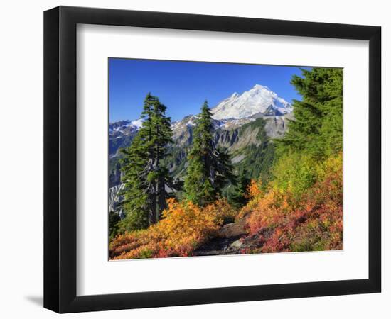 Mt. Baker from Kulshan Ridge at Artist's Point, Heather Meadows Recreation Area, Washington, Usa-Jamie & Judy Wild-Framed Photographic Print