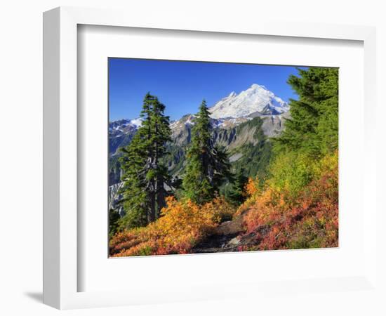 Mt. Baker from Kulshan Ridge at Artist's Point, Heather Meadows Recreation Area, Washington, Usa-Jamie & Judy Wild-Framed Photographic Print