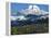 Mt. Baker, Mt. Baker-Snoqualmie National Forest, Washington, USA-Charles Gurche-Framed Premier Image Canvas