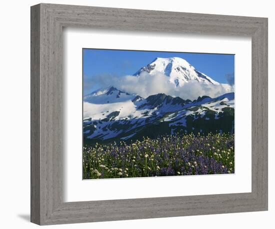 Mt. Baker, Mt. Baker-Snoqualmie National Forest, Washington, USA-Charles Gurche-Framed Photographic Print