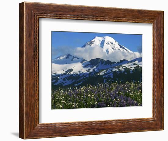 Mt. Baker, Mt. Baker-Snoqualmie National Forest, Washington, USA-Charles Gurche-Framed Photographic Print