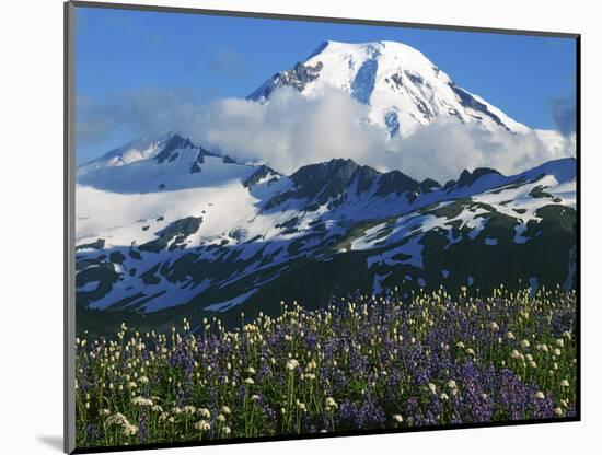 Mt. Baker, Mt. Baker-Snoqualmie National Forest, Washington, USA-Charles Gurche-Mounted Photographic Print