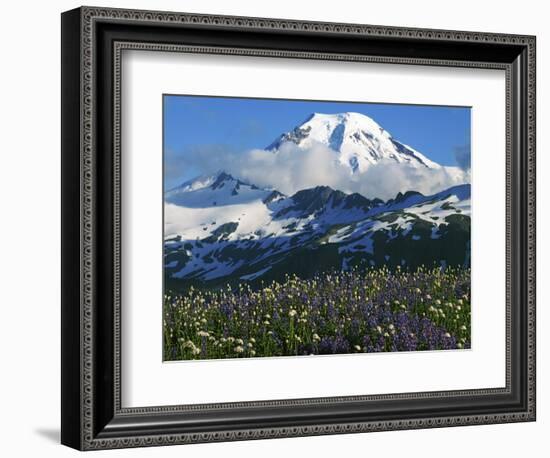 Mt. Baker, Mt. Baker-Snoqualmie National Forest, Washington, USA-Charles Gurche-Framed Photographic Print