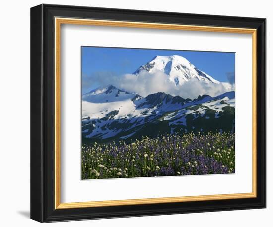 Mt. Baker, Mt. Baker-Snoqualmie National Forest, Washington, USA-Charles Gurche-Framed Photographic Print