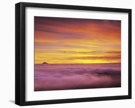 Mt. Baker Peeks Above the Clouds in Olympic National Park, Washington, USA-Dennis Flaherty-Framed Photographic Print