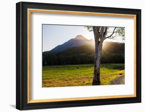 Mt Barney, Mt Barney National Park, Queensland, Australia-Mark A Johnson-Framed Photographic Print