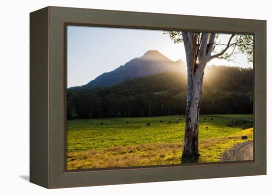 Mt Barney, Mt Barney National Park, Queensland, Australia-Mark A Johnson-Framed Premier Image Canvas