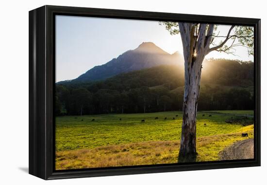 Mt Barney, Mt Barney National Park, Queensland, Australia-Mark A Johnson-Framed Premier Image Canvas