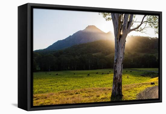 Mt Barney, Mt Barney National Park, Queensland, Australia-Mark A Johnson-Framed Premier Image Canvas