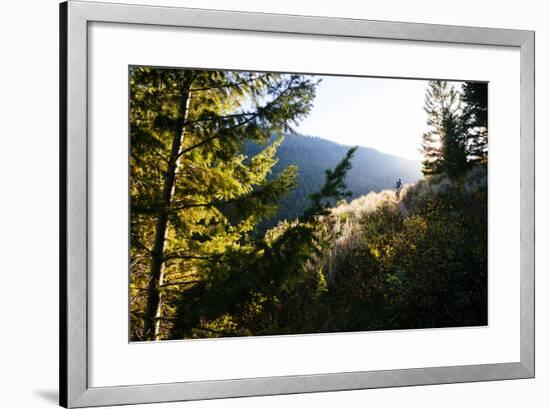 Mt Biker Rides Singletrack On Putt Putt Trail Across Valley From Snow King Ski Area, Jackson, WY-Jay Goodrich-Framed Photographic Print