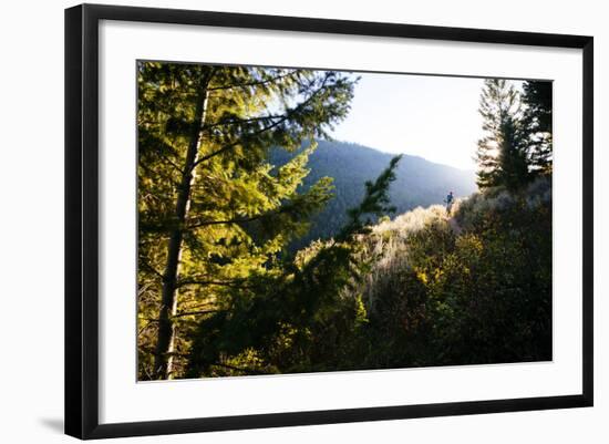 Mt Biker Rides Singletrack On Putt Putt Trail Across Valley From Snow King Ski Area, Jackson, WY-Jay Goodrich-Framed Photographic Print