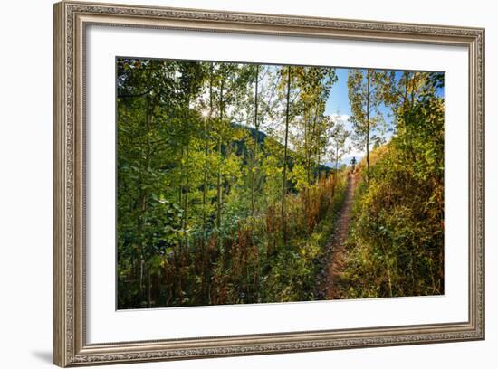Mt Biker Rides The Singletrack On The Putt Putt Trail Across From Snow King Ski Area, Jackson, WY-Jay Goodrich-Framed Photographic Print