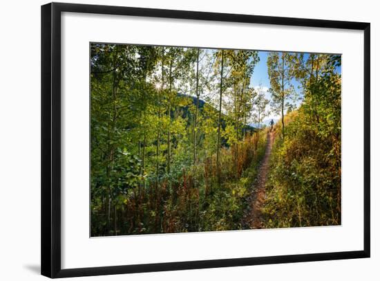 Mt Biker Rides The Singletrack On The Putt Putt Trail Across From Snow King Ski Area, Jackson, WY-Jay Goodrich-Framed Photographic Print